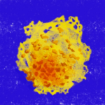 村瀬 さんのプロフィール写真