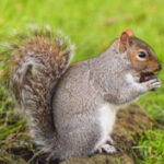 杉本 さんのプロフィール写真